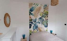 Appartement 50M² Centre-Ville